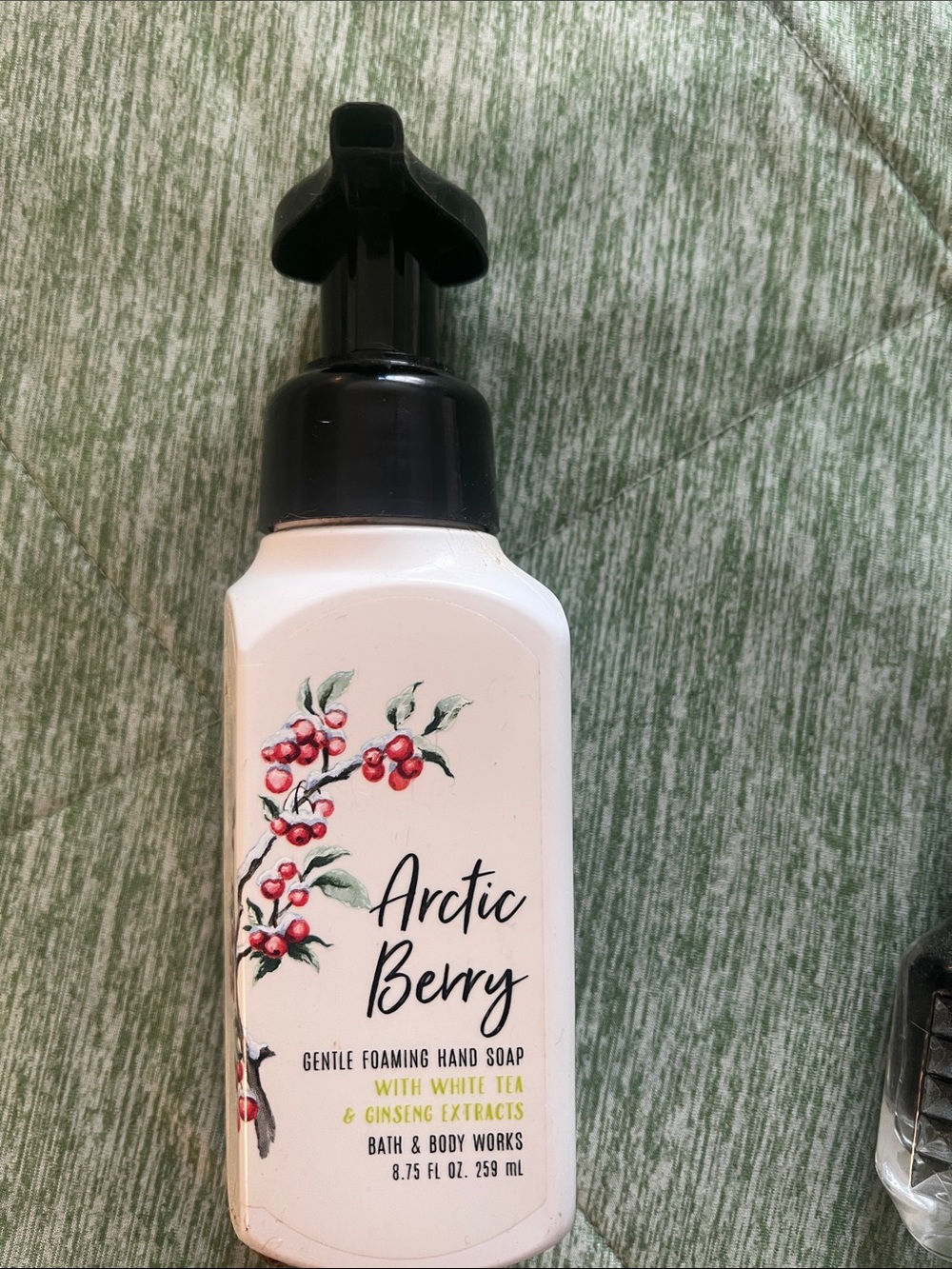 Bath & Body Works Arctic Berry Foaming Hand Soap - White & Black
